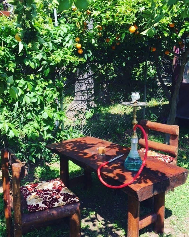 فندق بنسيون إليكان Çıralı المظهر الخارجي الصورة